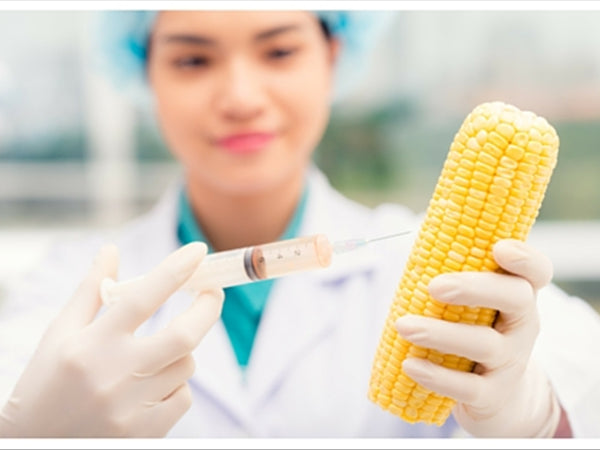 15 GMO Foods and Ingredients to Avoid