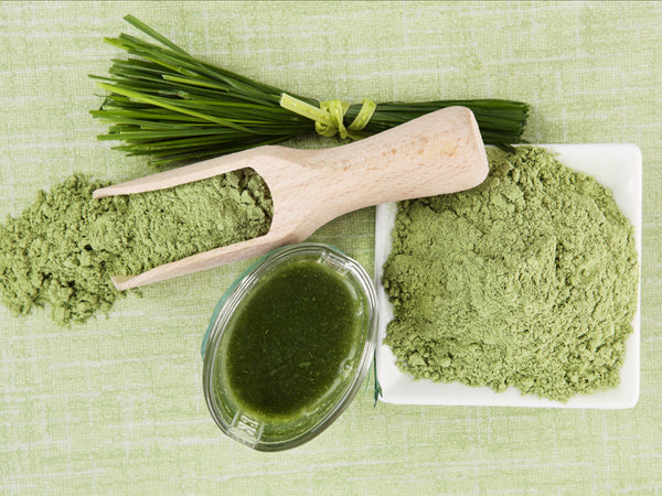 Wheatgrass Juice vs Wheatgrass Supplements - Which is Better?