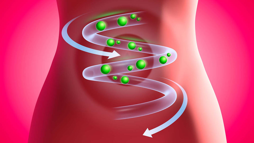 10 Ways Wheatgrass Aids Digestion 10 Ways Wheatgrass Aids Digestion