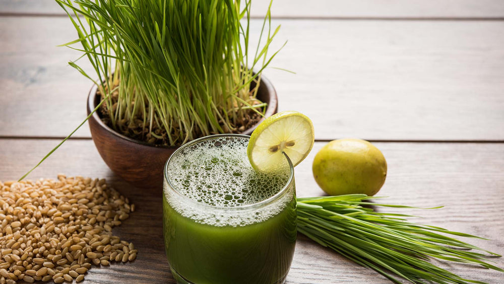 Wheatgrass Pills Vs. Wheatgrass Juice Wheatgrass Pills Vs. Wheatgrass Juice