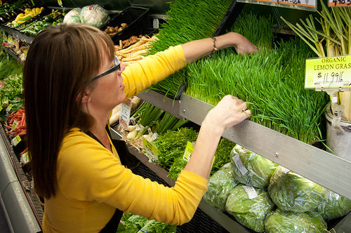 Go Green (with Wheatgrass) for St. Patrick’s Day!