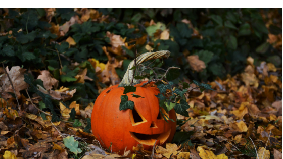Why Halloween Can Be Good for Your Emotional Health