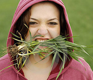 Can We Eat or Drink Grass? (Yes! Wheatgrass!)